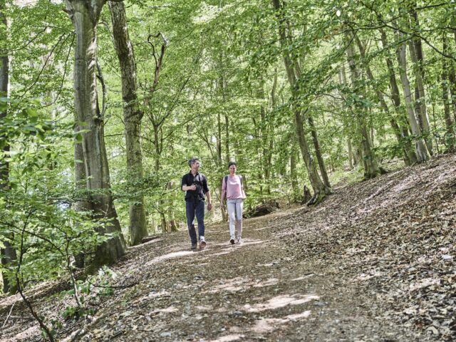 Ein Paar wandert auf einem schattigen Pfad durch einen lichten Buchenwald.