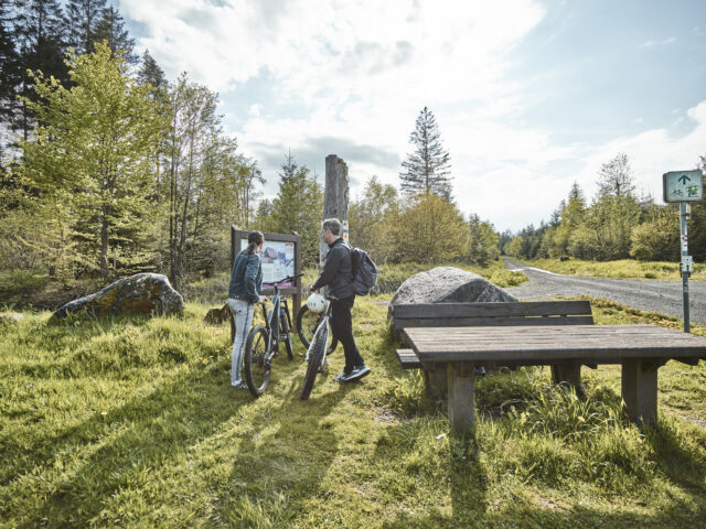 Ein Paar mit Fahrrädern hat an einem Rastplatz halt gemacht und studiert eine Infotafel am Waldweg.