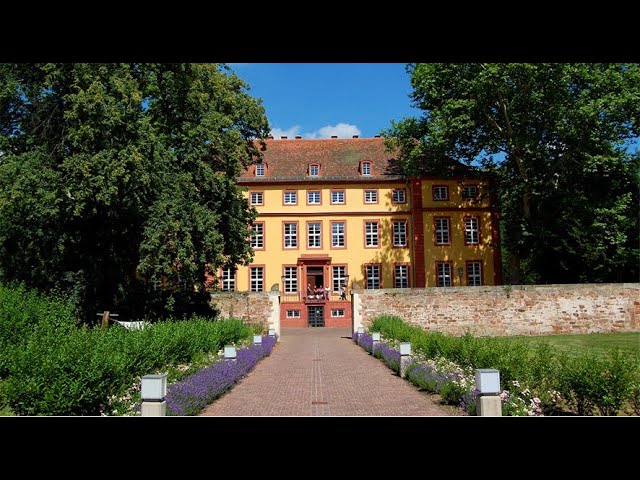 YouTube-Video Vorschaubild